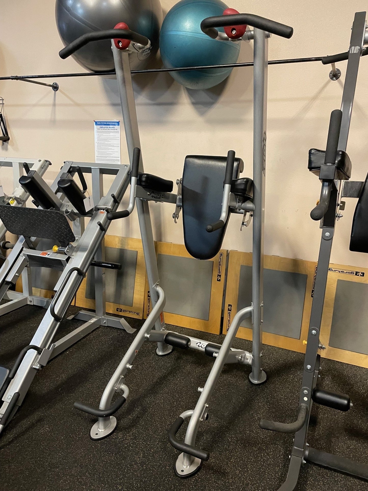 Used Hoist Fitness Tree