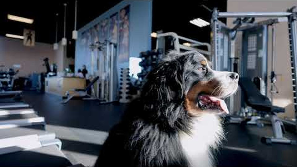 Top Home Fitness Equipment Store in Idaho