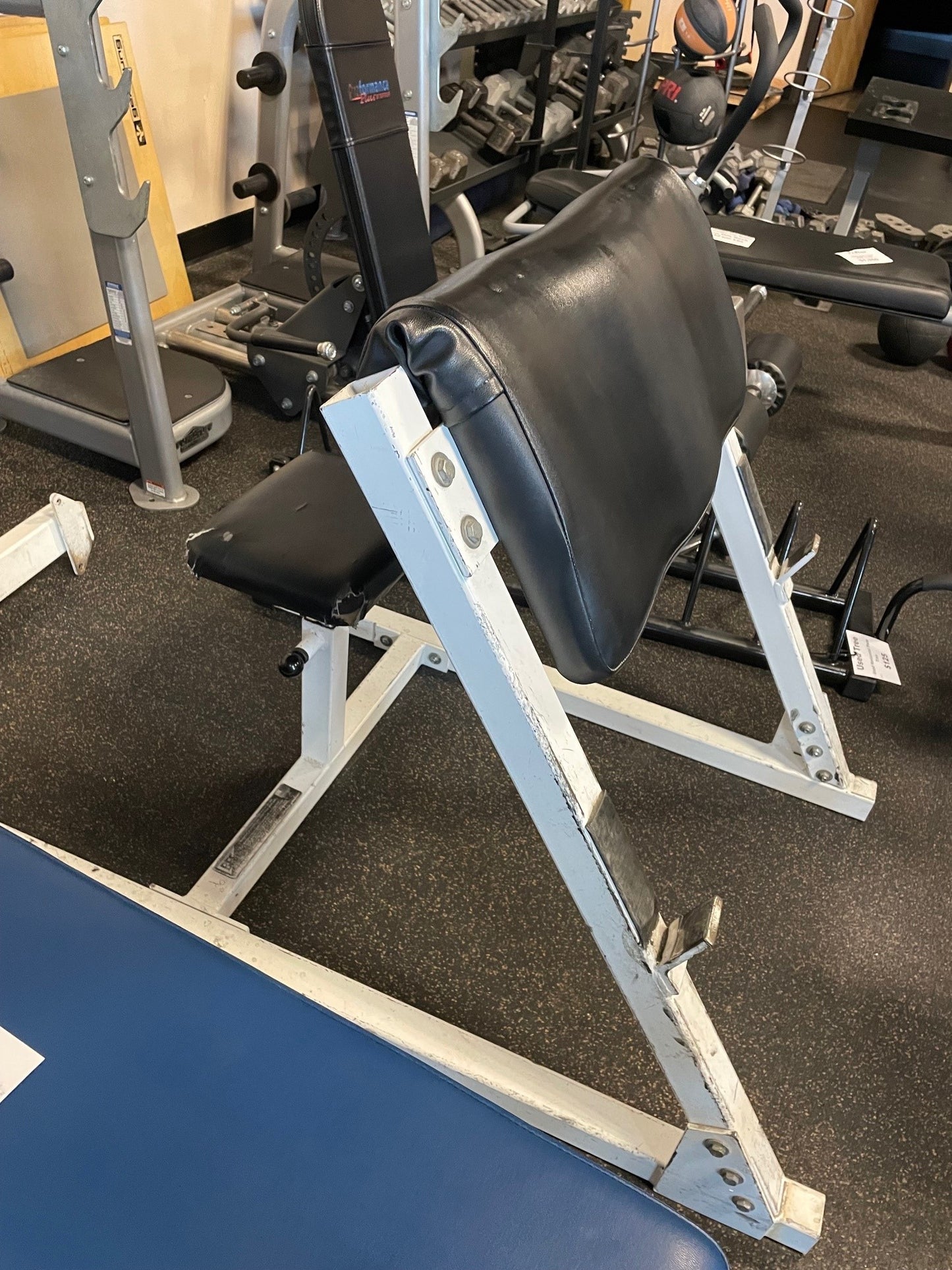 Used Preacher Curl